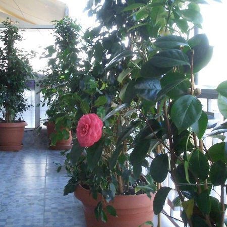 Athens Penthouse Cosy Apartment Εξωτερικό φωτογραφία