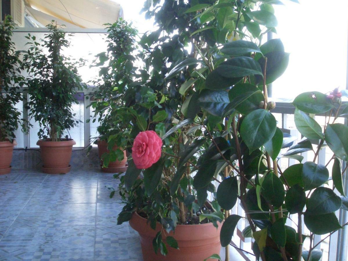 Athens Penthouse Cosy Apartment Εξωτερικό φωτογραφία