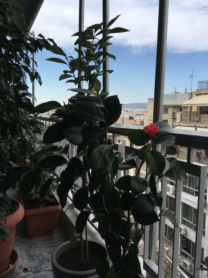 Athens Penthouse Cosy Apartment Εξωτερικό φωτογραφία